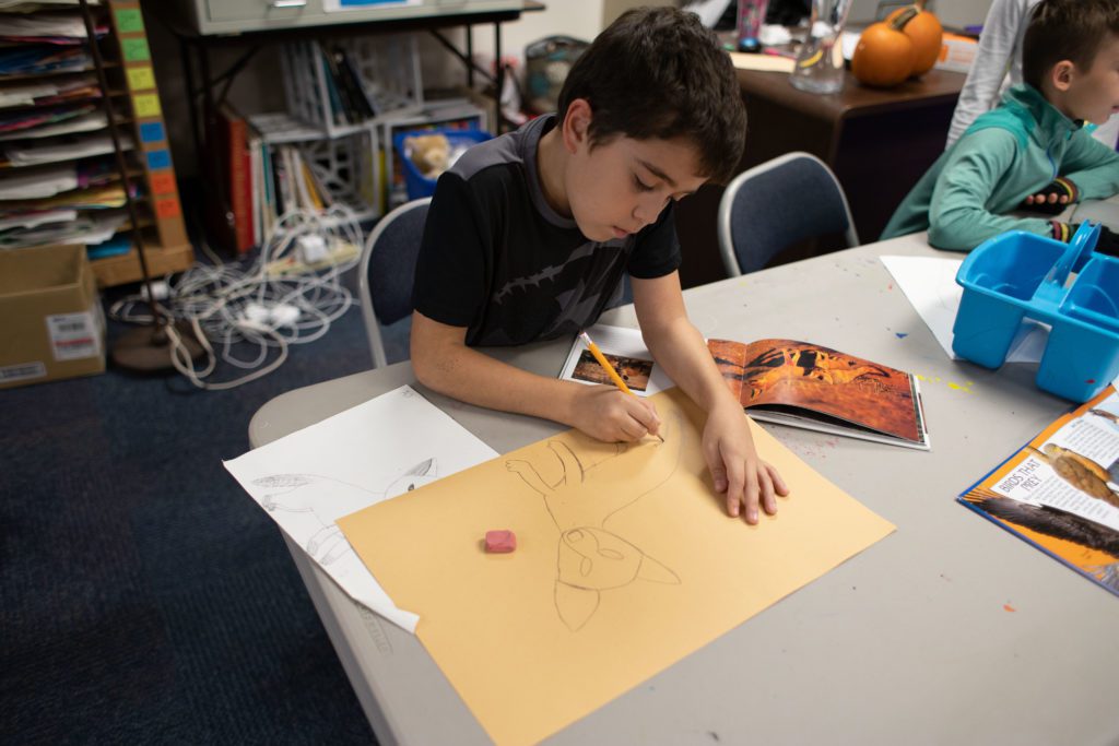 boy drawing a fox in class